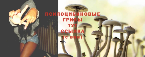 ПСИЛОЦИБИНОВЫЕ ГРИБЫ Богородск