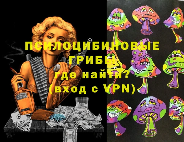 ПСИЛОЦИБИНОВЫЕ ГРИБЫ Богородск
