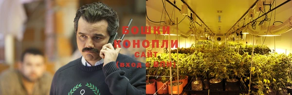 ПСИЛОЦИБИНОВЫЕ ГРИБЫ Богородск
