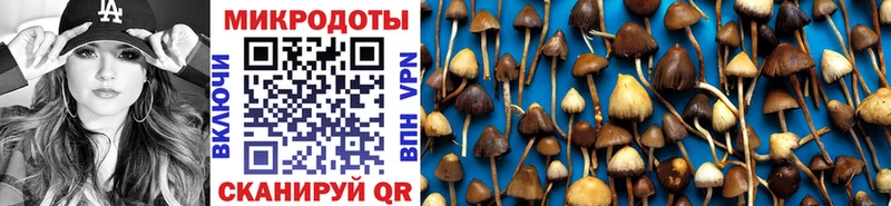 Псилоцибиновые грибы прущие грибы купить наркотики цена ссылка на мегу вход Данилов