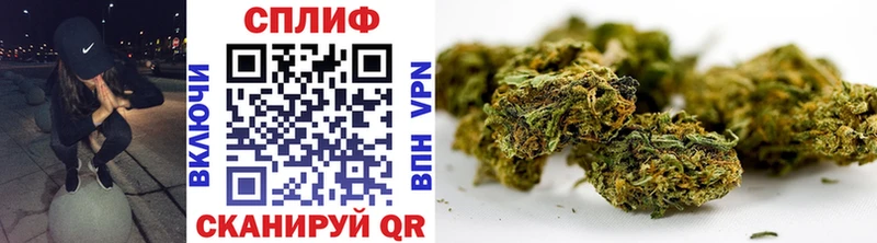Бошки марихуана LSD WEED  продажа наркотиков  Данилов 